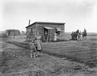 P592: Homesteader's shack, ca. 1918
